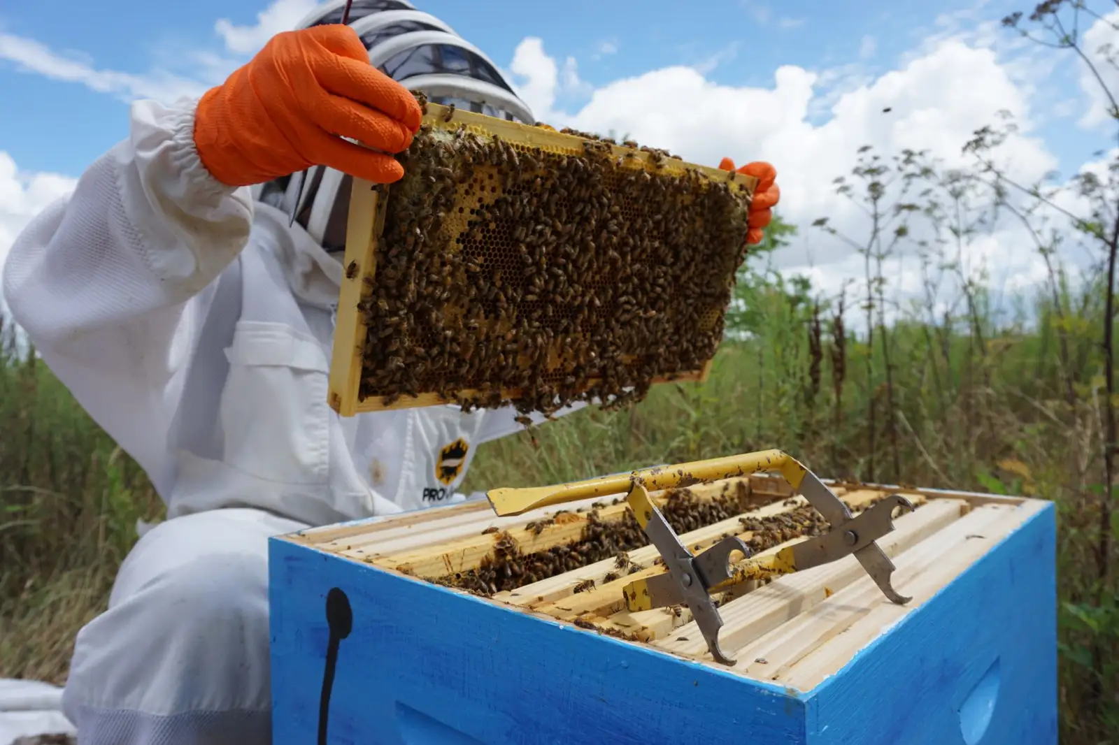 活塞杆表面处理工艺解析：如何提升直线运动配件的耐磨性能